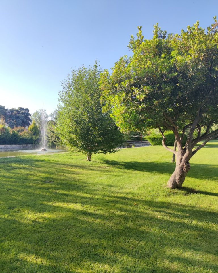 Paisaje