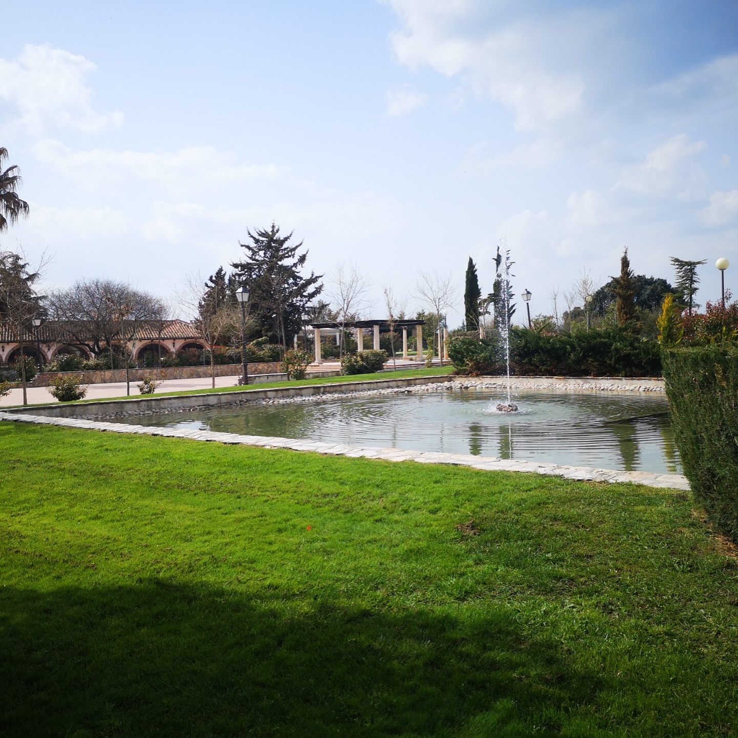Paisaje Lago con Peces